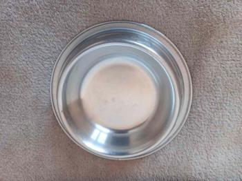 Regalo comedero bebedero antivuelco