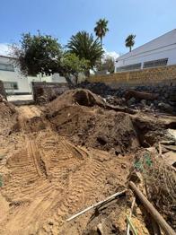 Regalo tierra vegetal