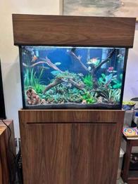 Acuario completo