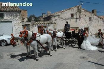 romería de porcuna,romería de arjona