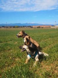 regalo a persona responsable