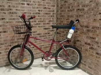 BH Motocross roja 20''