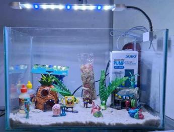 Acuario Completo