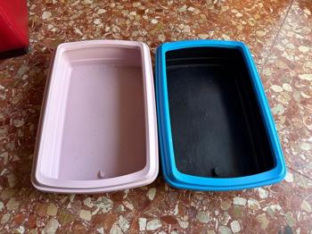 arenero para gatitos