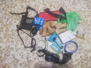 Regalo objetos y accesorios para perros