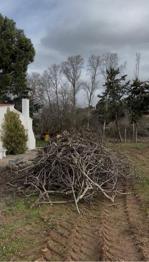 Regalo restos de poda